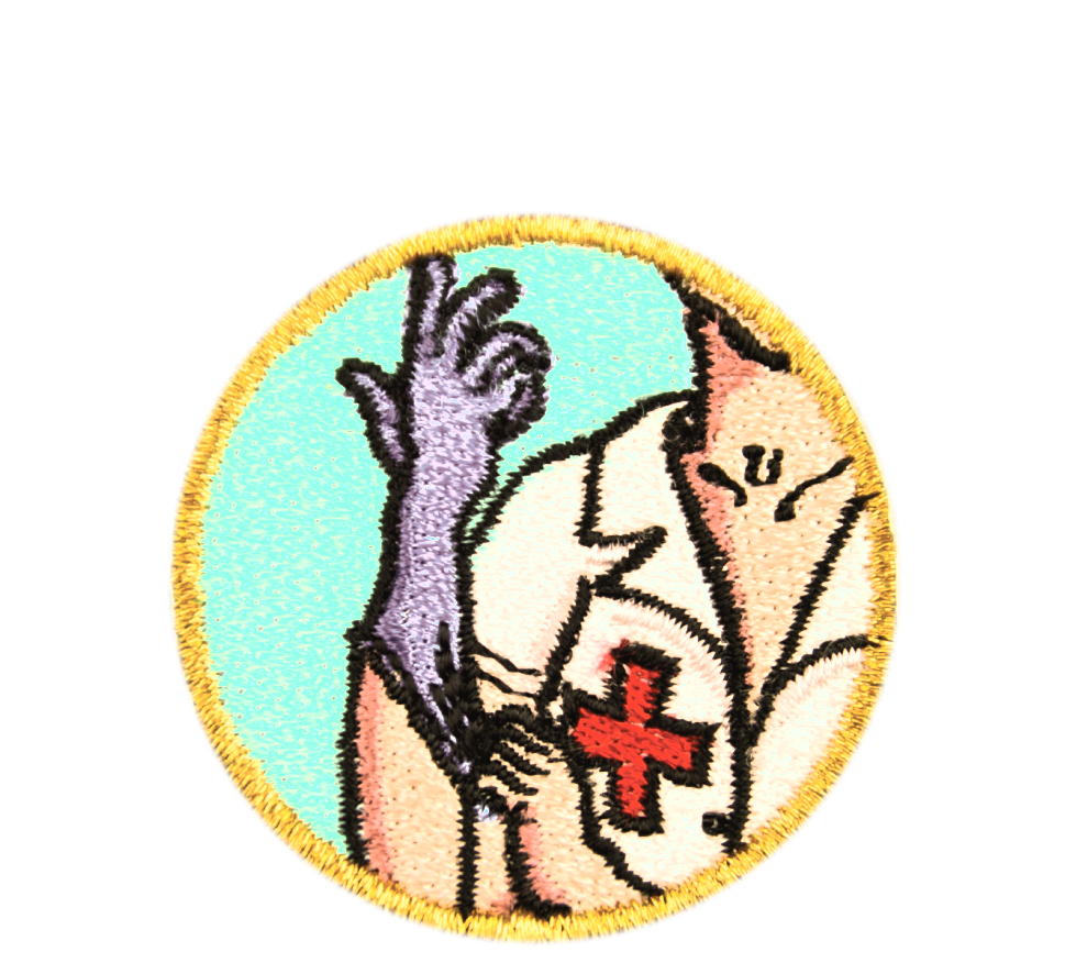 Image of Medical Play