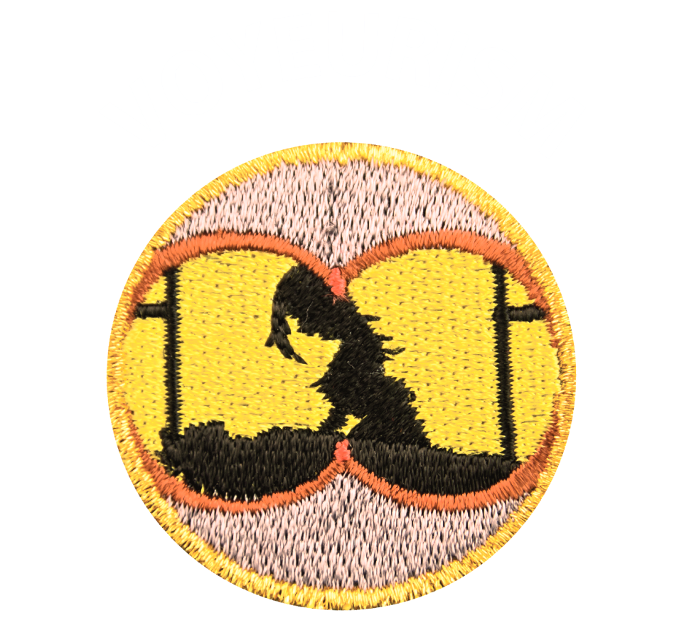 Image of Voyeurism